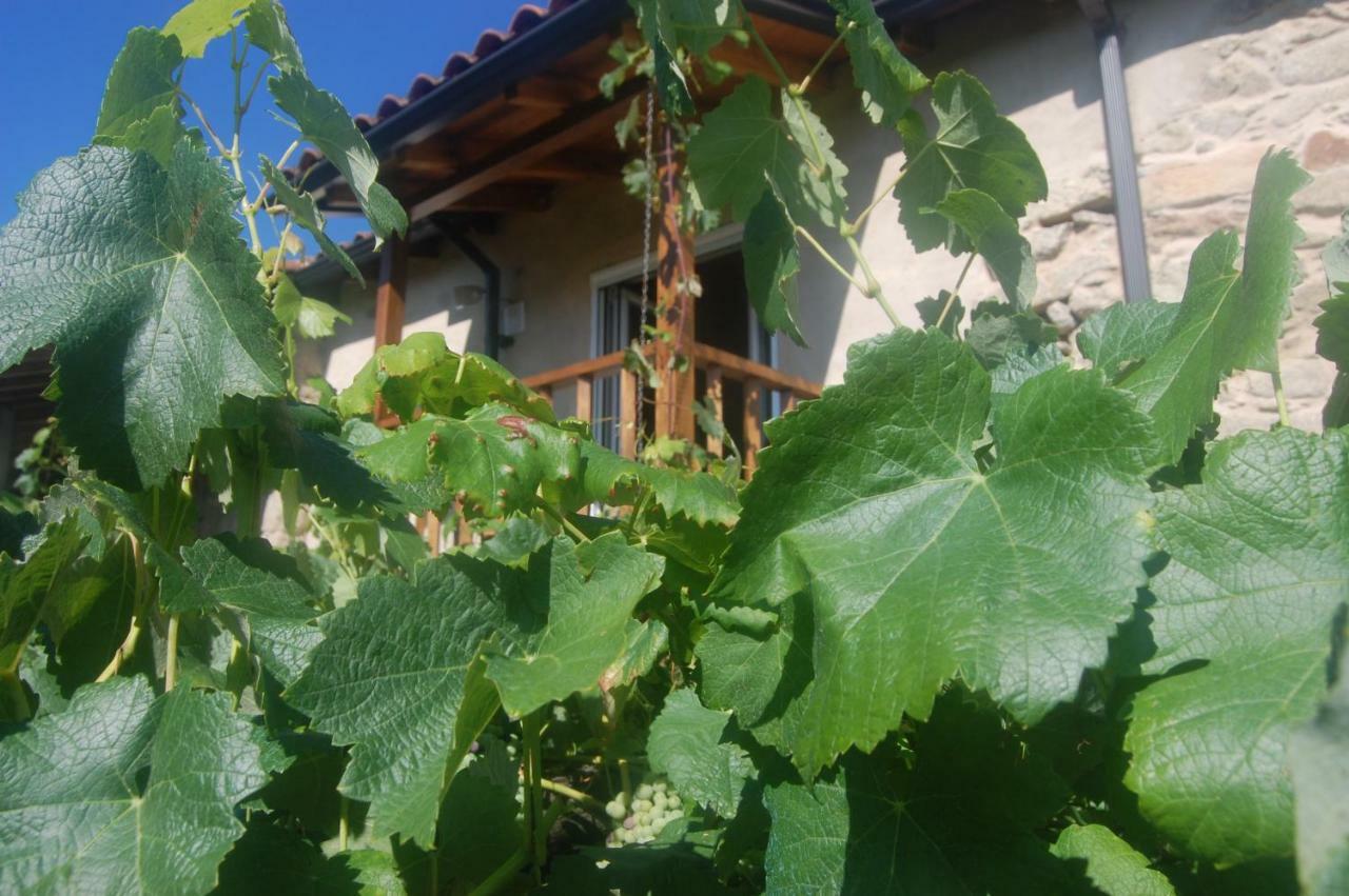 Casa De Las Flores Sober Ribeira Sacra Guest House Exterior photo